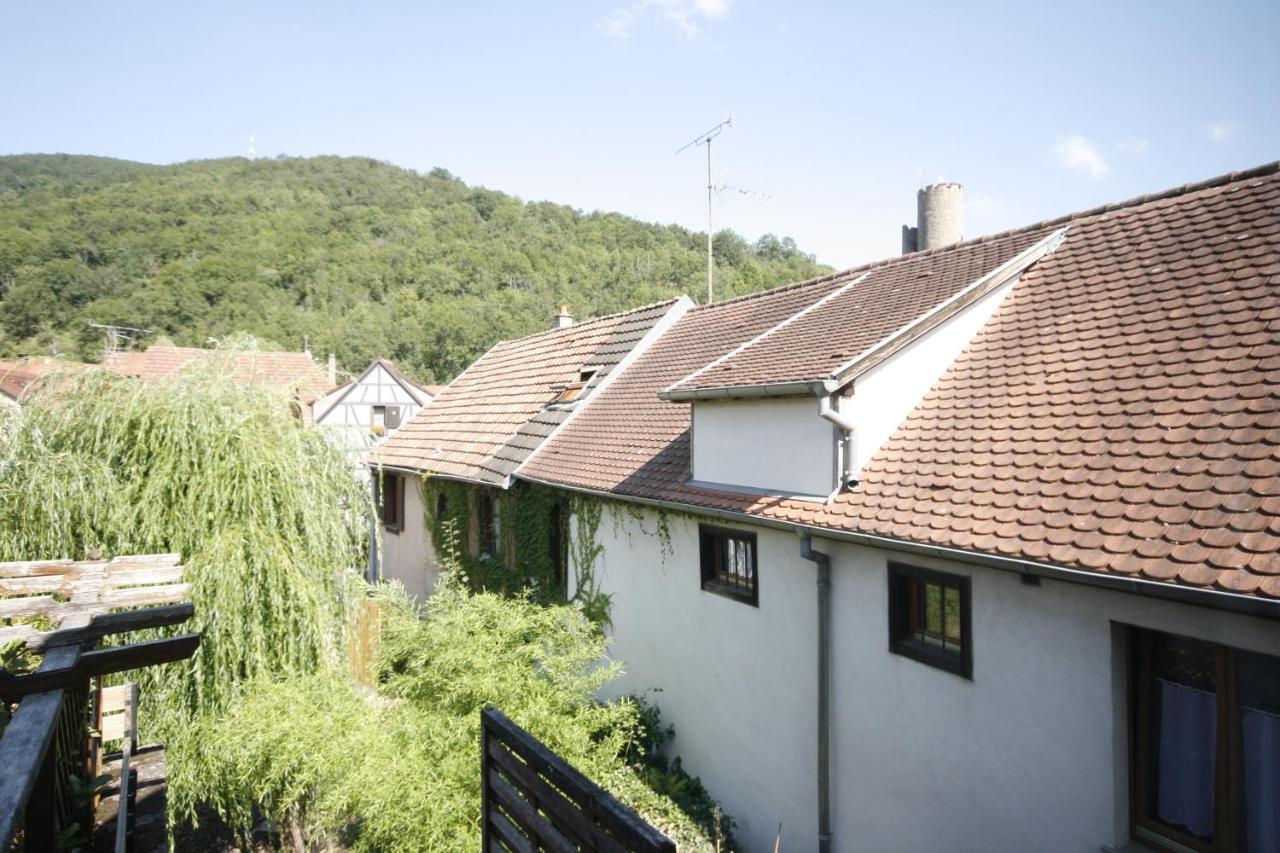Appartement Le Keiler Kaysersberg-Vignoble Exteriör bild